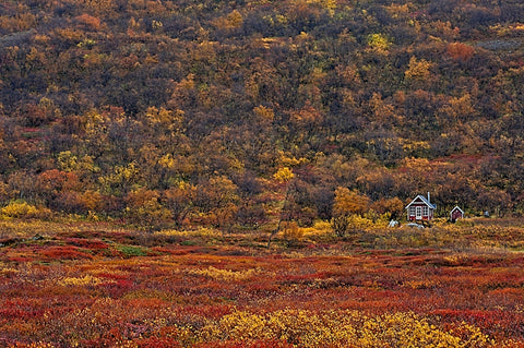 Iceland image